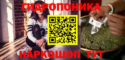 spice Обь