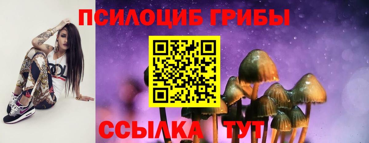 Галлюциногенные грибы Psilocybine cubensis  Вход с VPN  Галлюциногенные грибы мицелий  Родники 
